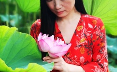 熟女人妻一区二区三区视频